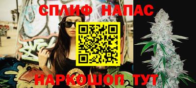 Альфа ПВП Канаш